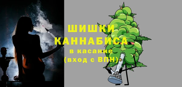 амф Вяземский