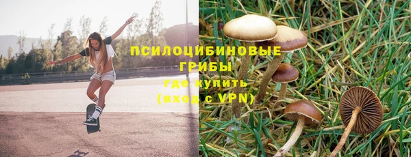 ешки Володарск