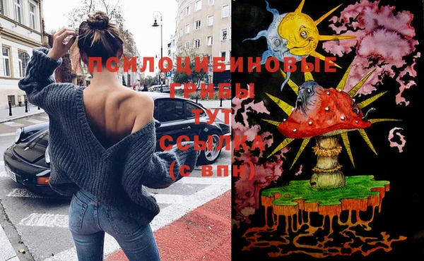сатива Волосово