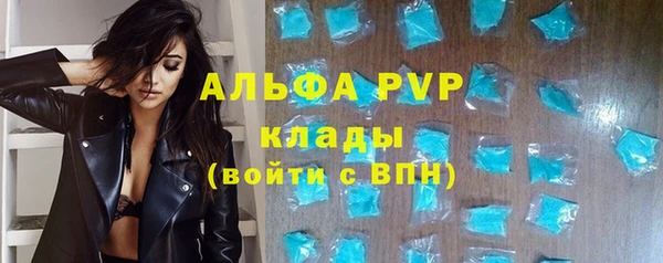 амф Вяземский