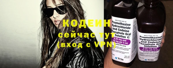 амф Вяземский