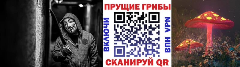 Псилоцибиновые грибы Psilocybe Юрюзань